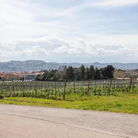 Lägenhet Whitehorse Condo: Center, Ocean And Mountain View *